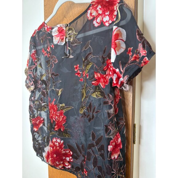 Dark Romantic Velvet Burnout Sheer Floral Sz M Top Lace Whimsigoth Sheer Fairy - Picture 13 of 14